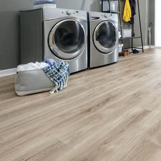 waterproof laundry room in Brantford 